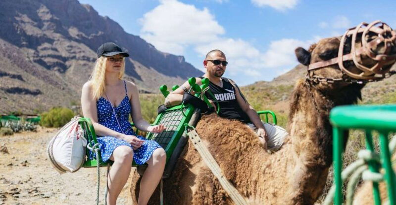 gran-canaria-camel-ride-safari-w-optional-food-transport