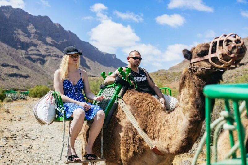 gran-canaria-camel-ride-safari-w-optional-food-transport