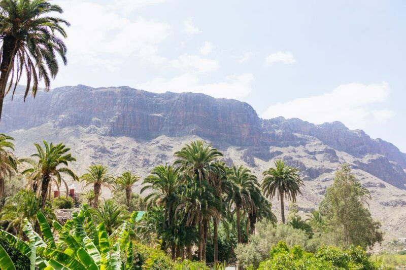 gran-canaria-camel-ride-safari-w-optional-food-transport