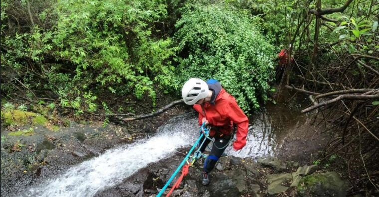 gran-canaria-canyoning-adventure-in-the-green-heart-jungle