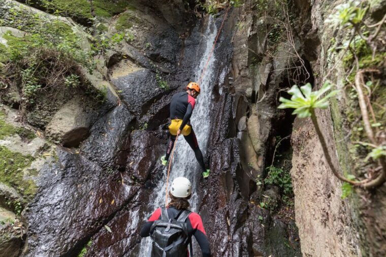 gran-canaria-canyoning-in-the-rainforest-2