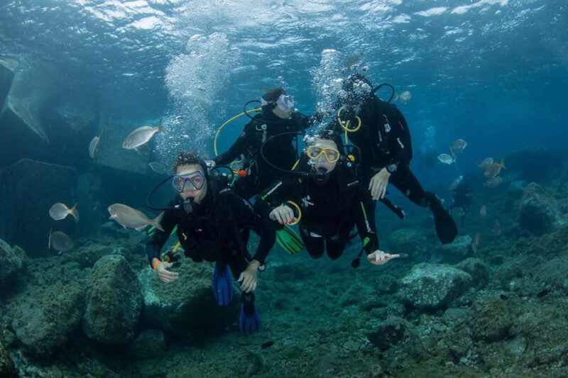 gran-canaria-discover-scuba-diving-beginner-program