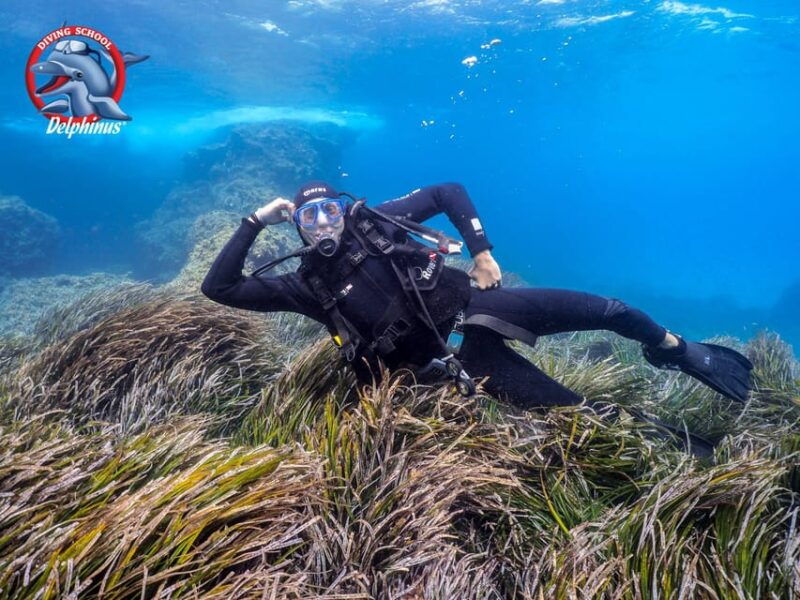 gran-canaria-discover-scuba-diving-beginner-program