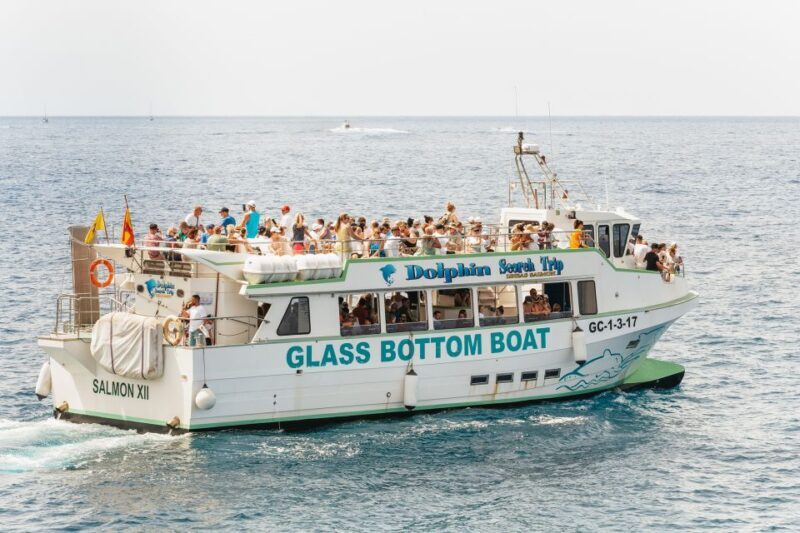 Gran Canaria: Dolphin and Whale Watching Cruise - FAQ