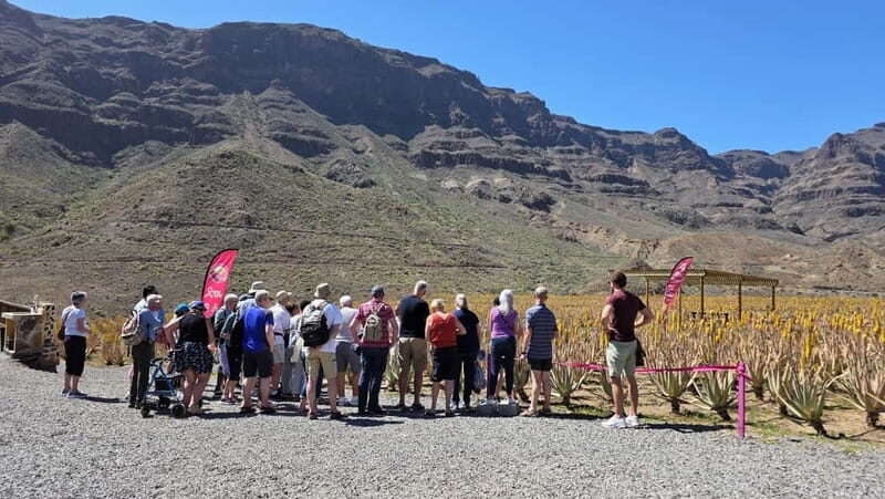 Gran Canaria: Eco Safari 4x4 Tour with Local Guide - Who Will Benefit?