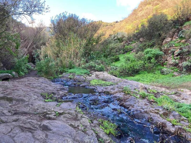 Gran Canaria: excursion to the Barranco de los Cernícalos - Introduction