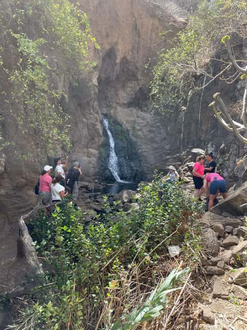 Gran Canaria: excursion to the Barranco de los Cernícalos - The Picnic and Wildlife Interaction