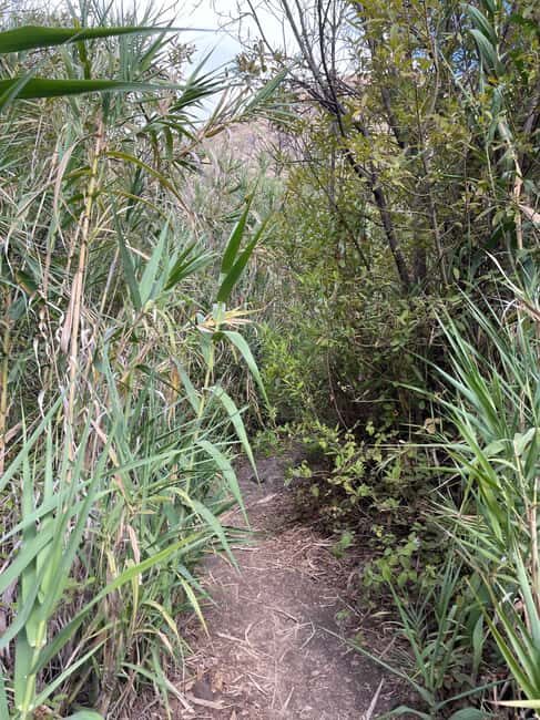 Gran Canaria: excursion to the Barranco de los Cernícalos - Visiting the Village: A Cultural Finish