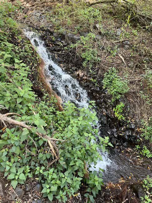 Gran Canaria: excursion to the Barranco de los Cernícalos - Authenticity and Experience Quality