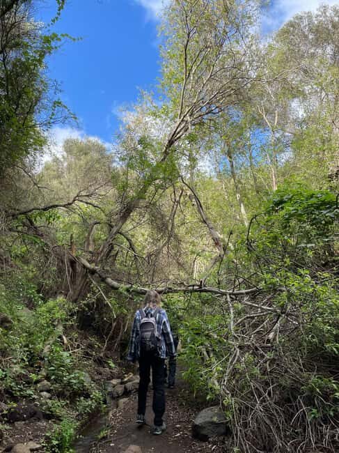 Gran Canaria: excursion to the Barranco de los Cernícalos - An Authentic Look at Gran Canaria’s East: What to Expect