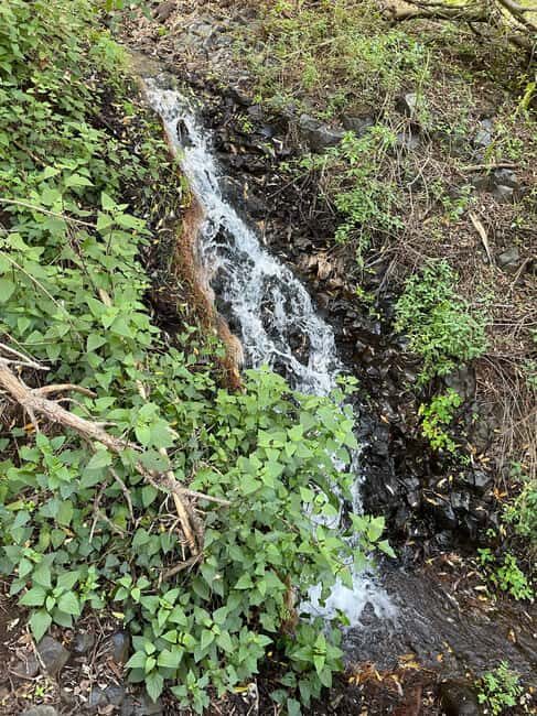 Gran Canaria: excursion to the Barranco de los Cernícalos - In The Sum Up