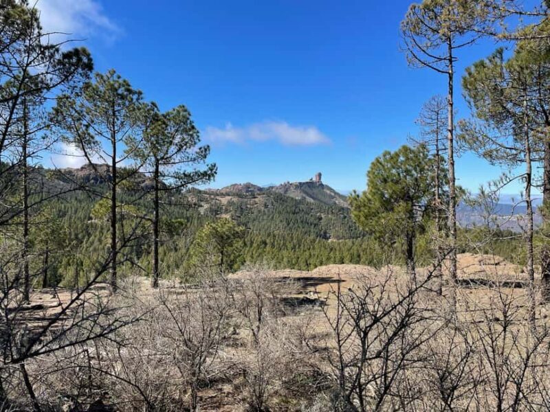 Gran Canaria: excursion to the Ventana del Nublo - An In-Depth Look at the Ventana del Nublo Excursion