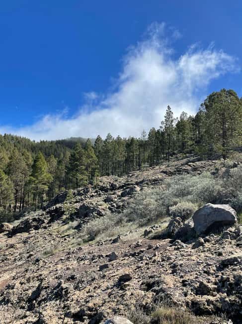 Gran Canaria: excursion to the Ventana del Nublo - Who Will Love This Experience?