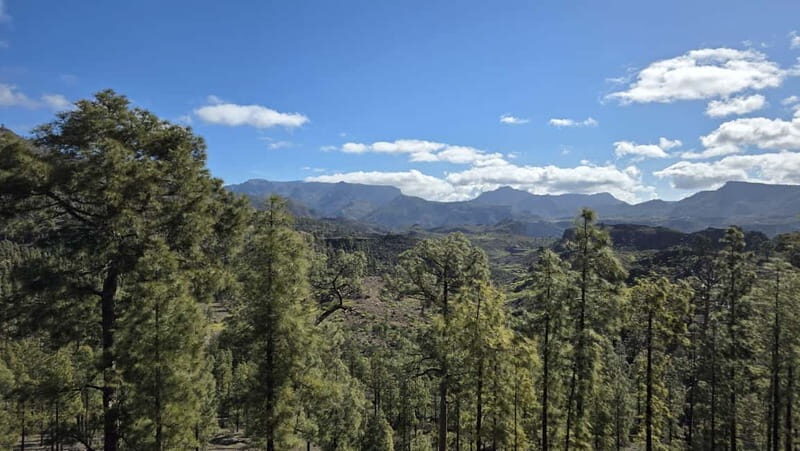 Gran Canaria: Full Coast Tour with Local Guide - Who Is This Tour Best For?