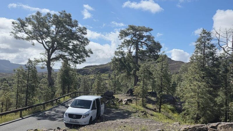 gran-canaria-full-island-tour-in-one-day