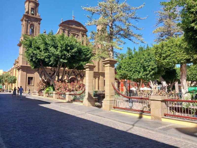 gran-canaria-green-north-tour-with-optional-lunch