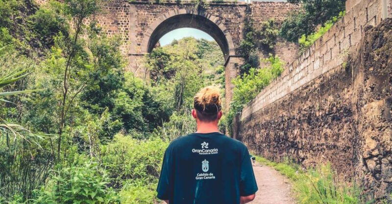 gran-canaria-guided-day-tour-to-rainforest-with-tasting