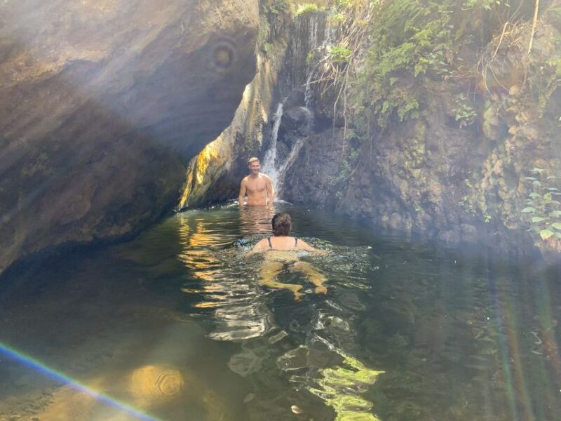 gran-canaria-guided-day-tour-to-rainforest-with-tasting