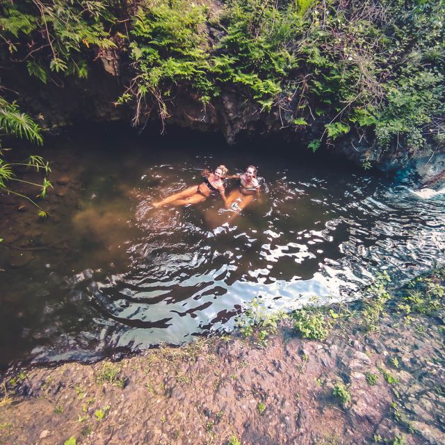 gran-canaria-guided-day-tour-to-rainforest-with-tasting