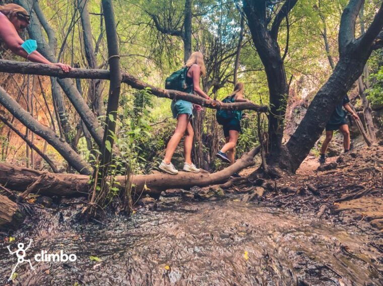 gran-canaria-guided-day-tour-to-rainforest-with-tasting