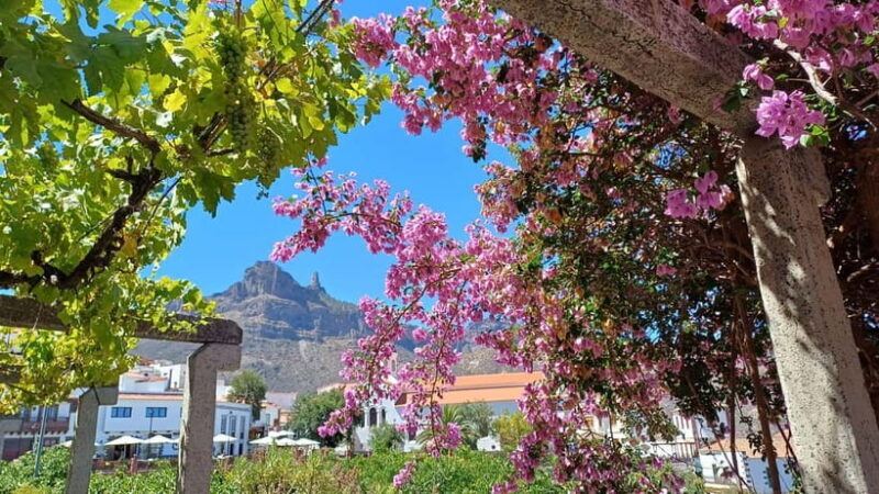 Gran Canaria: Highlights & hidden gems with Sky Rebels - An In-Depth Look at the Tour Itinerary  
