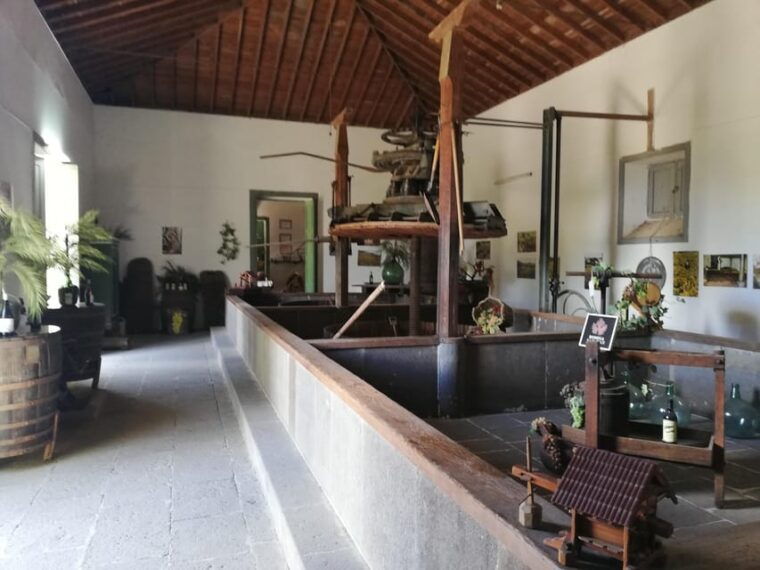 gran-canaria-highlights-wine-tasting-tour-shore-excursion