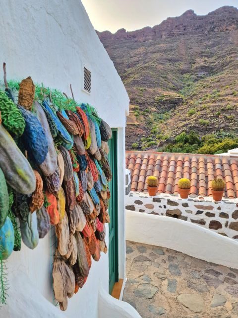 Gran Canaria historical house with mango plantation in Mogan - A Close Look at the Tour Experience
