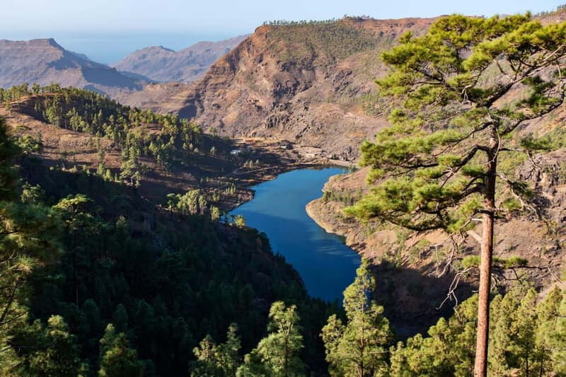 Gran Canaria: Island Highlights Tour with Optional Lunch - Final Thoughts: Who Will Love This Tour?