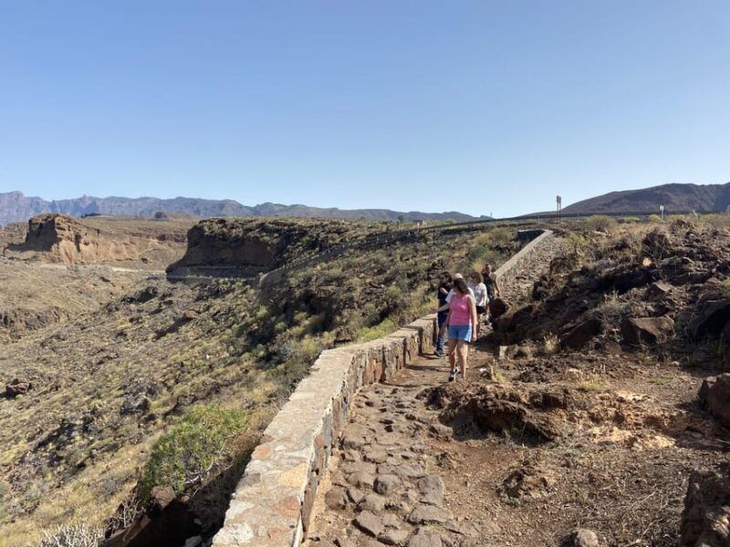 gran-canaria-lets-get-high-altitude-wines-and-tapas-lunch