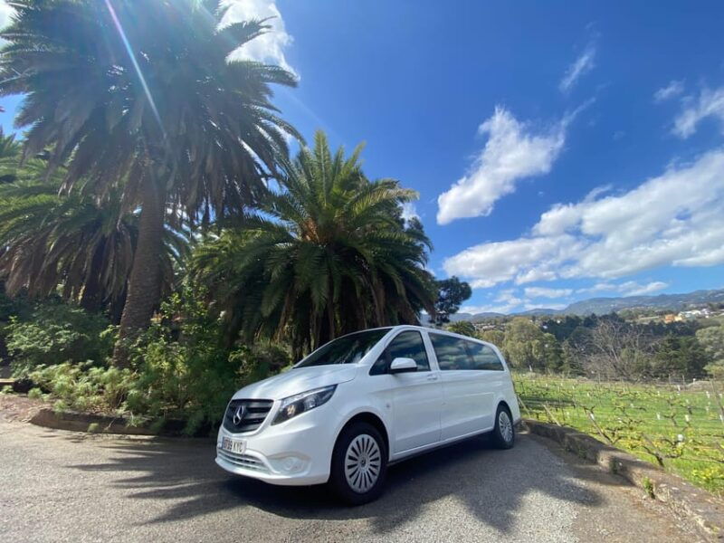 gran-canaria-lets-get-high-altitude-wines-and-tapas-lunch