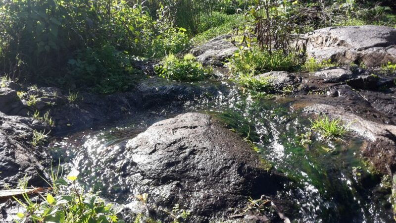 gran-canaria-magic-waterfalls-hiking-tour