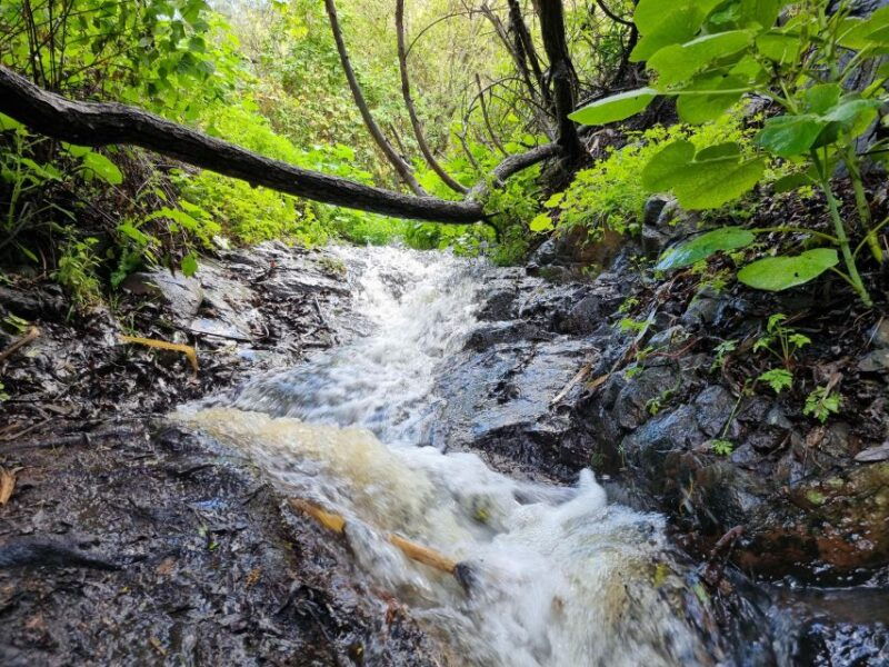 gran-canaria-magic-waterfalls-hiking-tour