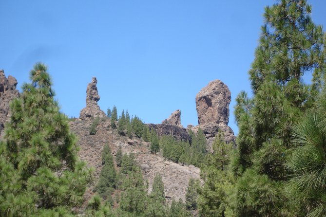 gran-canaria-peaks-full-day-tour-from-las-palmas