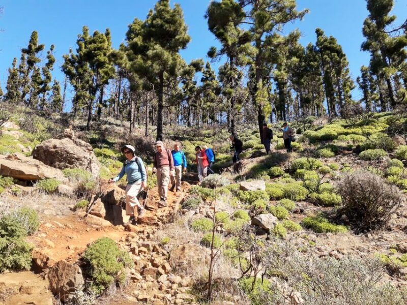 gran-canaria-peaks-of-gran-canaria-hiking-tour