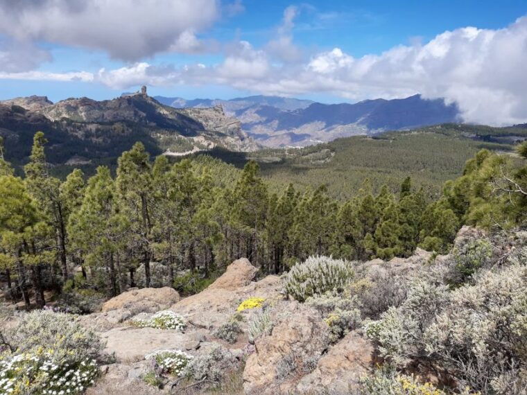 gran-canaria-peaks-of-gran-canaria-hiking-tour