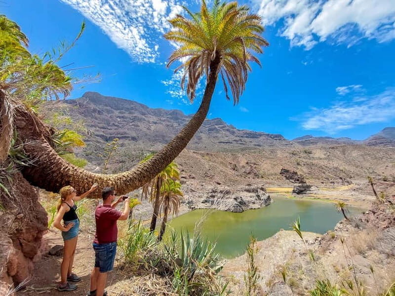 Gran Canaria: Red Gorge, Cave, Oasis Adventure Tour & Picnic - What Makes This Tour Truly Special?