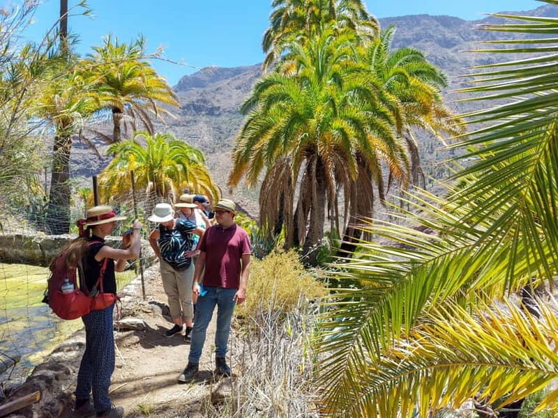 Gran Canaria: Red Gorge, Cave, Oasis Adventure Tour & Picnic - Final Thoughts