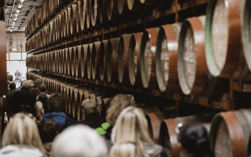 gran-canaria-rum-wines-and-banana-tour