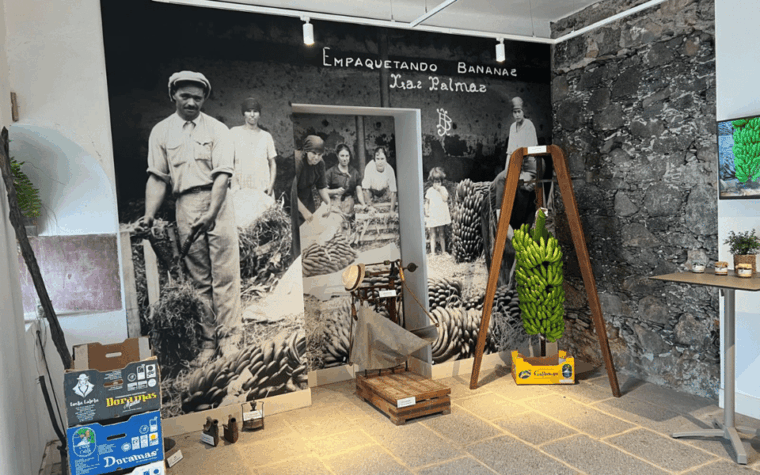 gran-canaria-rum-wines-and-banana-tour