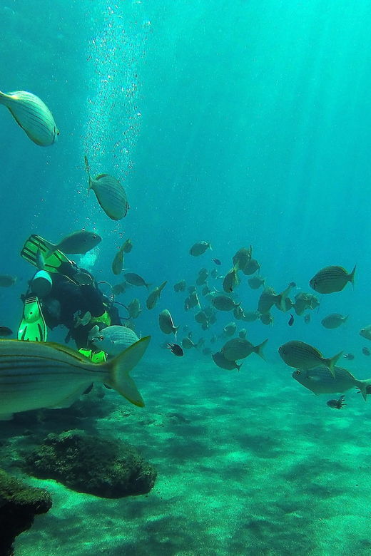 gran-canaria-scuba-diving-1-day-2-dive-package