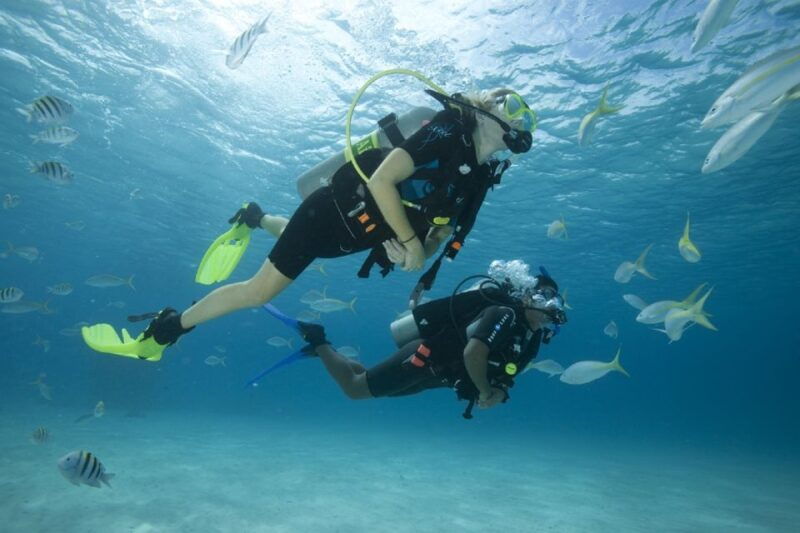 gran-canaria-scuba-diving-for-beginners