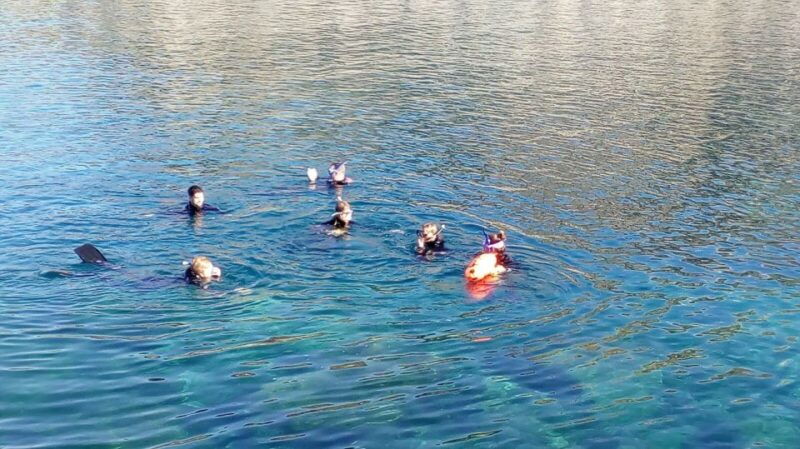gran-canaria-snorkeling-trip