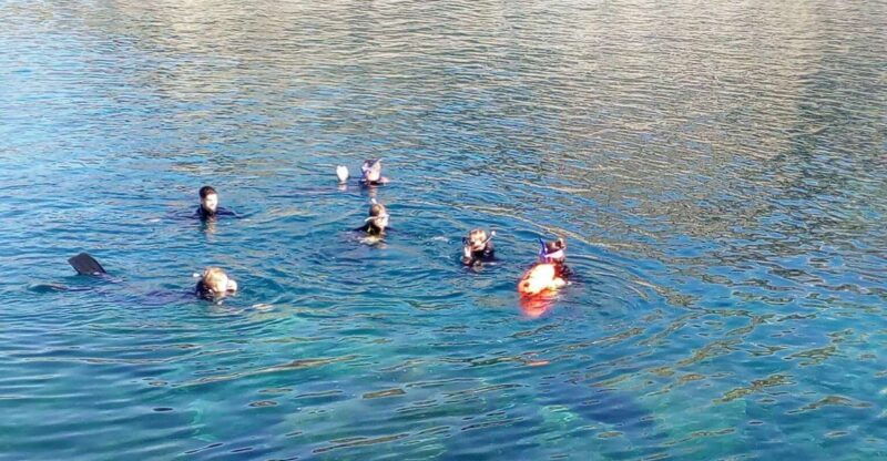gran-canaria-snorkeling-trip