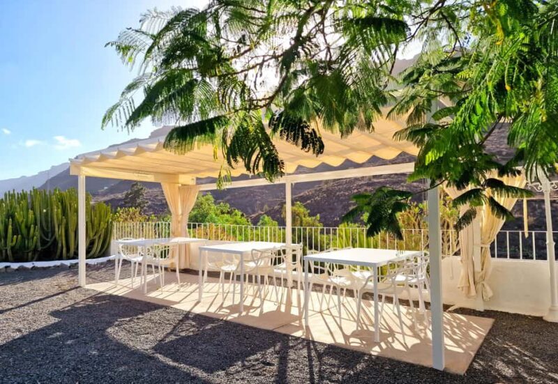 Gran Canaria: Tasting wine & local cheese in Mogan - Cultural and Family Aspects
