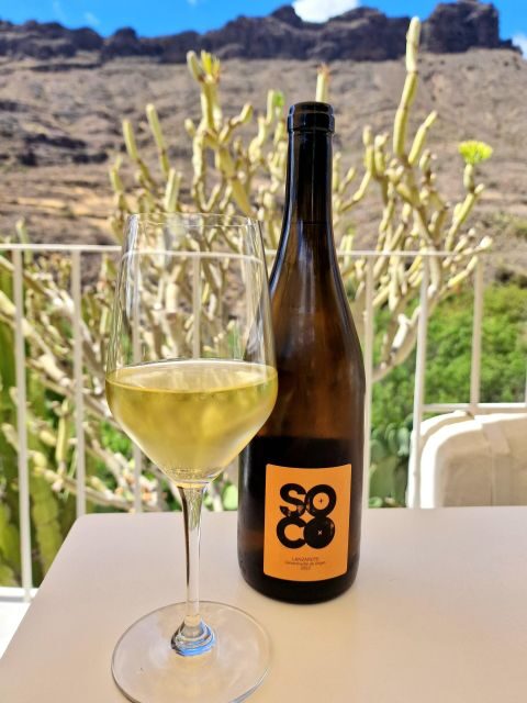 Gran Canaria: Tasting wine & local cheese in Mogan - Who Will Love This Tour?
