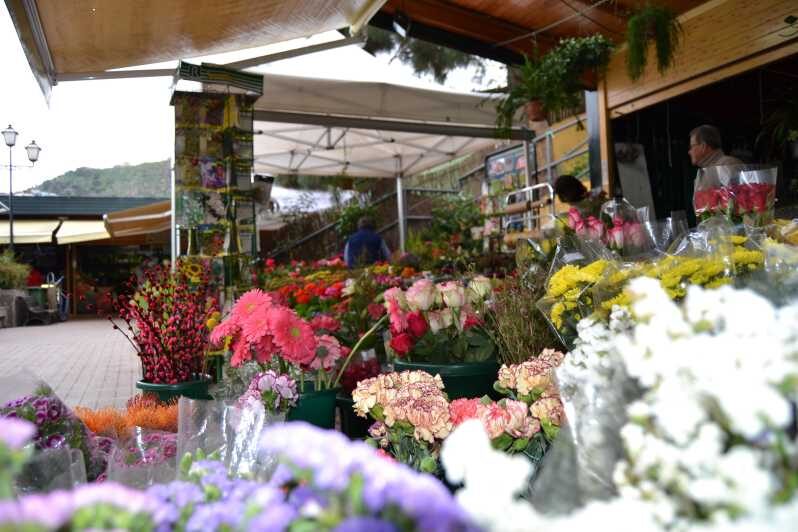 Gran Canaria: Traditional Markets, San Mateo & Teror - Who Would Enjoy This Tour?