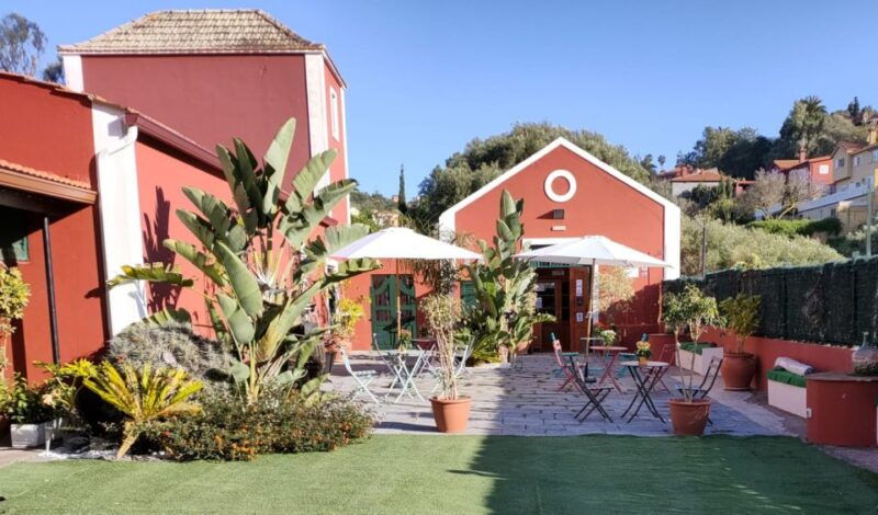 gran-canaria-winery-tour-wine-museum-and-tasting