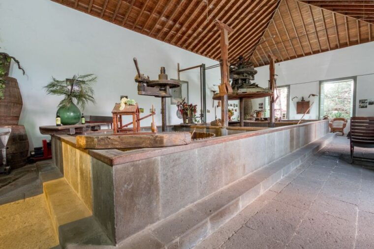 gran-canaria-winery-tour-wine-museum-and-tasting