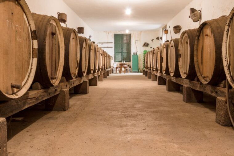 gran-canaria-winery-tour-wine-museum-and-tasting