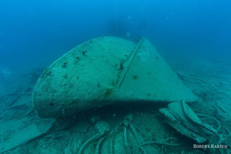 gran-canarialive-an-adventure-and-learn-to-dive-with-expert